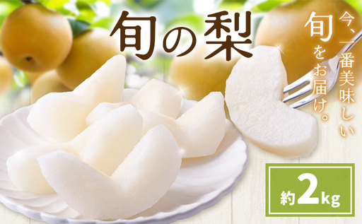 先行予約 旬の梨 梨 約2kg 株式会社エフビーネット[8月上旬-10月下旬頃出荷]熊本県 氷川町 果物 フルーツ 熊本県産 青果物 和梨 ジューシー