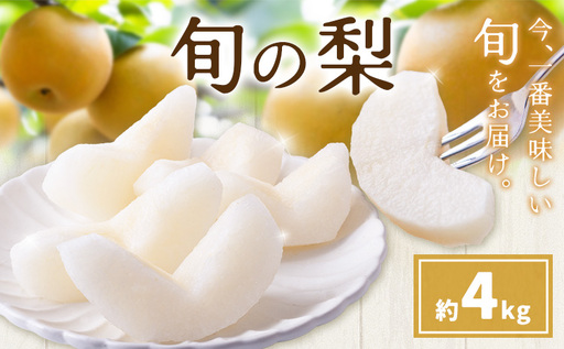 先行予約 旬の梨 約4kg 梨