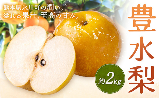 数量限定 先行予約 豊水梨 約2kg 熊本県産 梨