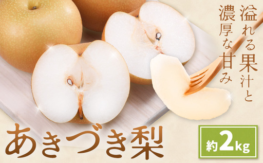 先行予約 あきづき梨 あきづき 梨 約2kg 株式会社エフビーネット[8月下旬-9月下旬頃出荷]熊本県 氷川町 果物 フルーツ 熊本県産 青果物 和梨 ジューシー
