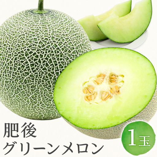 肥後グリーンメロン 1玉 熊本 株式会社エフビーネット《4月上旬-7月上旬頃出荷》