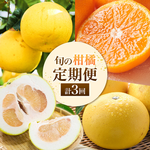 旬の柑橘定期便 山本果樹園 旬のみかん 約5kg パール柑 約5kg 晩白柚 2玉(Lサイズ)[11月上旬-2月下旬頃出荷]