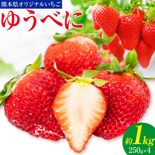 ゆうべに 約1kg 250g×4パック エフビーネット 道の駅竜北[2027年1月上旬-4月中旬頃出荷]