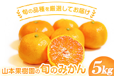 山本果樹園の旬のみかん 5kg 山本果樹園[9月中旬-2月末頃出荷予定]蜜柑 柑橘 ひのあかり 日南 豊福 肥後早生 青島 フルーツ 果物