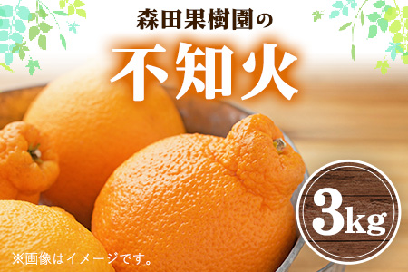 森田果樹園の不知火 3kg[2月中旬-4月下旬頃出荷]森田果樹園 果物 フルーツ 柑橘 熊本