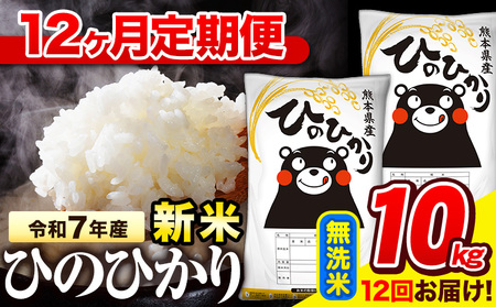 新米 令和7年産 無洗米[12ヶ月定期便] ひのひかり 10kg[11月から出荷開始]熊本県産 無洗米 精米 氷川町 ひの 送料無料 ヒノヒカリ コメ 便利 ブランド米 お米 おこめ 熊本