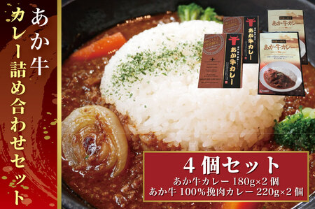 B308-18 あか牛カレー詰め合わせセット(あか牛カレー180g×2、あか牛100%挽肉カレー220g×2)
