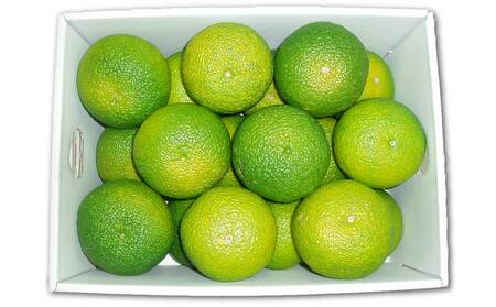 B342-07 XC[gXvO@Qk@Rs