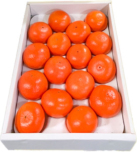 B351-13 まるたん 16玉 化粧箱入り