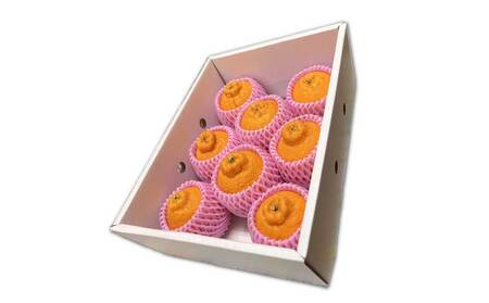 B341-14 不知火(3kg)