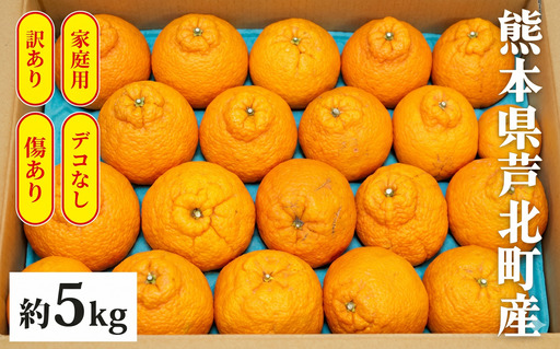 B400-10 デコポン5kg [ご家庭用]