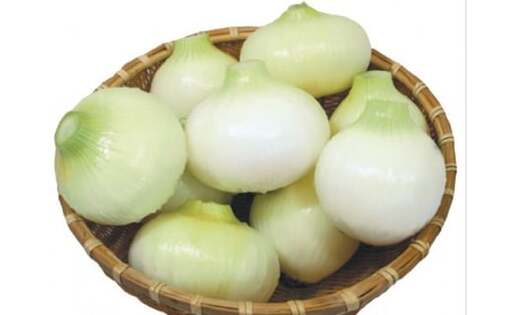 B404-10 サラたまちゃん10kg(2Lサイズ以上)