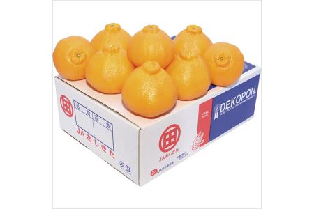  ハウスデコポン3kg