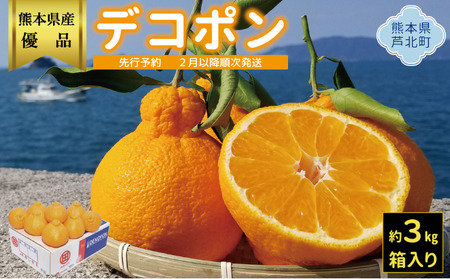  露地デコポン3kg