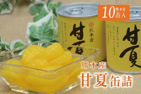 B45-12 甘夏缶詰（10缶入）