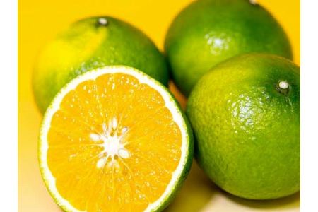 B49-10 スイートスプリング5㎏