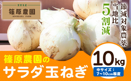 玉ねぎ 節減対象農薬 当地比5割減 サラダ玉ねぎ (中サイズ) 10kg[4月上旬-5月下旬頃出荷]篠原農園 |玉ねぎ玉ねぎ玉ねぎ