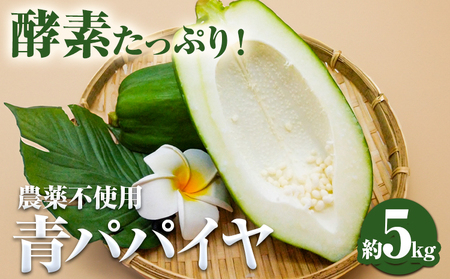 パパイヤ 5kg ゆいやわす[9月下旬-12月中旬頃出荷]|パパイヤパパイヤパパイヤ