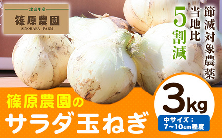 玉ねぎ 節減対象農薬 当地比5割減 サラダ玉ねぎ (中サイズ) 3kg[4月上旬-5月下旬頃出荷]熊本県 葦北郡 津奈木町 篠原農園 野菜 たまねぎ 自然栽培 大小サイズ混合