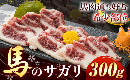 馬のサガリ 300g 桜屋 [30日以内に出荷予定(土日祝除く)|馬肉馬肉馬肉