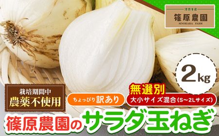 訳あり 栽培期間中 農薬不使用 サラダ玉ねぎ (S-2Lサイズ) 2kg[2月中旬-3月下旬頃出荷]熊本県 葦北郡 津奈木町 篠原農園 野菜 玉ねぎ たまねぎ 自然栽培 大小サイズ混合 ちょっと訳あり