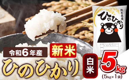 令和6年産 新米 早期先行予約受付中 白米 ひのひかり 5kg [11月-12月より出荷予定]令和6年産 熊本県産 ふるさと納税 精米 ひの 米 こめ ふるさとのうぜい ヒノヒカリ コメ お米 おこめ