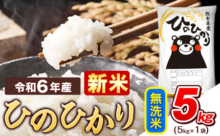 令和6年産 新米 早期先行予約受付中 無洗米 ひのひかり 5kg [11月-12月より出荷予定]令和6年産 熊本県産 ふるさと納税 精米 ひの 米 こめ ふるさとのうぜい ヒノヒカリ コメ お米 おこめ