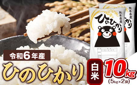白米 ひのひかり 10kg [7-14日以内に出荷予定(土日祝除く)]|米 米 米 米 米 米