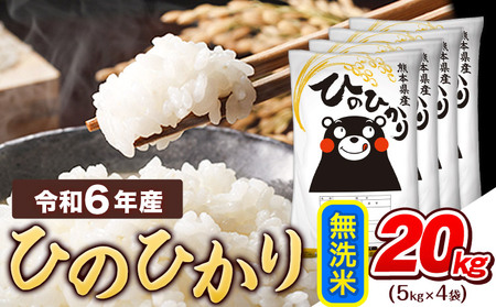 無洗米令和6年産 ひのひかり 20kg [7-14日以内に出荷予定(土日祝除く)]|無洗米無洗米無洗米