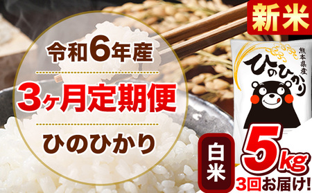 令和6年産新米 [3ヵ月定期便] 白米 ひのひかり 定期便 5kg 5kg×1袋[お申込み翌月から出荷開始] 熊本県産 精米 ひの 米 こめ ヒノヒカリ コメ お米