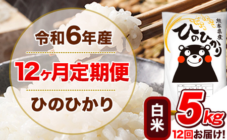 定期令和6年産 [12ヵ月定期便] 白米 ひのひかり 5kg|定期便定期便定期便