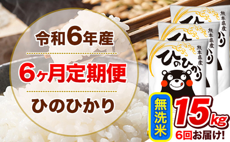 令和6年産【6ヵ月定期便】 無洗米 ひのひかり 定期便 15kg 5kg×3袋|無洗米無洗米無洗米
