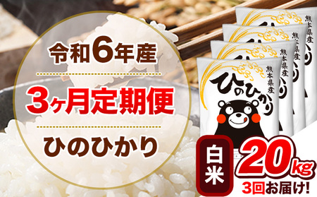 令和6年産 [3ヵ月定期便] 白米 ひのひかり 定期便 20kg 5kg×4袋|米定期便米定期便米定期便