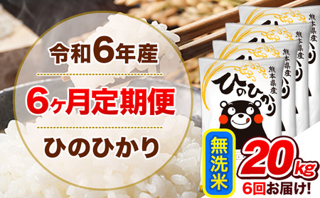 令和6年産 【6ヵ月定期便】 無洗米 ひのひかり 定期便 20kg 5kg×4袋|無洗米無洗米無洗米