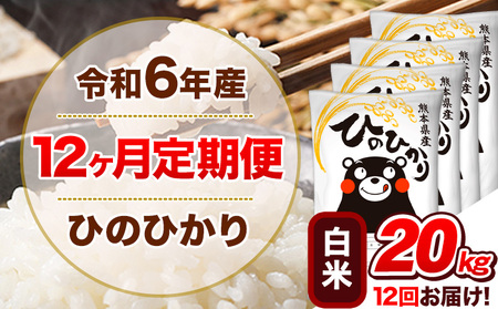 令和6年産【12ヵ月定期便】 白米 ひのひかり 定期便 20kg 5kg×4袋｜米定期便米定期便米定期便
