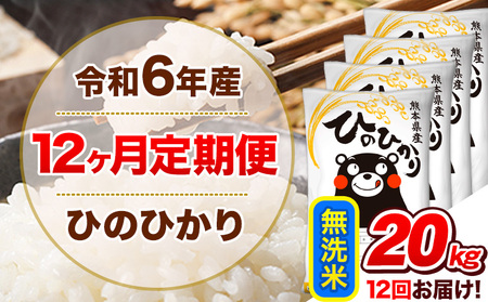 令和6年産【12ヵ月定期便】 無洗米 ひのひかり 定期便 20kg 5kg×4袋|無洗米無洗米無洗米