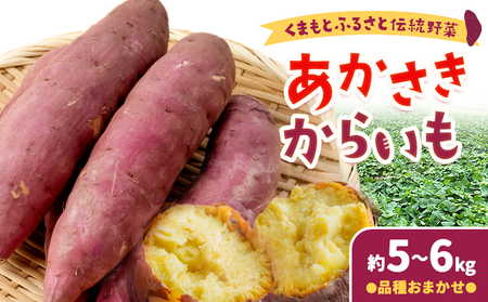 芋あかさきからいも 約5kg〜6kg わらく農園[2025年11月中旬-11月下旬頃出荷]|芋芋芋芋