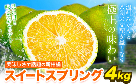 スイートスプリング 4kg 熊本県産 送料無料 旬 の みかん 熊本産 取り寄せ (3L〜Sサイズ/3L-S混合) [1月中旬-1月末頃出荷予定]熊本県 津奈木町 柑橘 希少品種 スイートスプリング 柑橘 果物 スイスプ 旬 の みかん 温州みかん