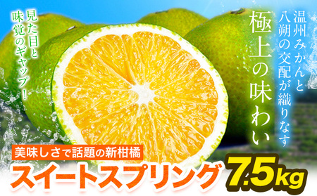 スイートスプリング 7.5kg [12月下旬〜1月下旬出荷]|みかんみかんみかん