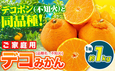 デコポン デコみかん 訳あり 約1kg前後 [2月中旬-4月末頃出荷]|訳あり訳あり訳あり