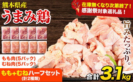 [生活応援企画]うまみ鶏ハーフ3.1kg(ムネ×5・もも×5) 若鶏 冷凍 小分け[7-14日以内に出荷(土日祝除く)]
