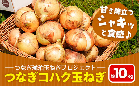 玉ねぎ つなぎコハク玉ねぎ 約10kg《4月中旬-5月中旬出荷》熊本県 葦北郡 津奈木町 つなぎ琥珀玉ねぎプロジェクト 野菜 たまねぎ
