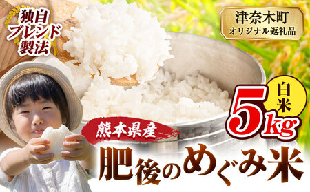 熊本県産 白米 ブレンド米 肥後のめぐみ米 5kg 熊本県産 ふるさと納税 精米 米 こめ ふるさとのうぜい コメ お米 おこめ[9月下旬-11月上旬頃出荷]