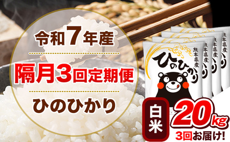 �ߘa7�N�Y�y�u��3�����ցz���� �Ђ̂Ђ���y2������1��͂��z 20kg 5kg×4�܁s���\���ݗ�������o�ׁt �F�{���Y ���� �Ђ� �� ���� �q�m�q�J�� �R�� ���� �Óޖ�