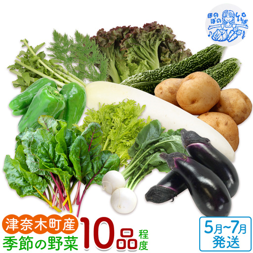 野菜 季節の野菜 10品 詰め合わせ セット ほのぼのしいば農園[5月上旬-7月下旬頃出荷]