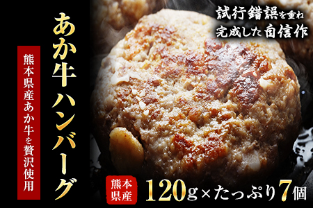 あか牛ハンバーグ 熊本県産あか牛を使用した贅沢ハンバーグたっぷり7個入り あか牛 赤牛 あかうし[3月上旬-4月末頃出荷予定] 熊本県 葦北郡 津奈木町