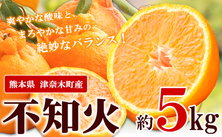 不知火 先行予約 不知火 約5kg デコポン と同品種 期間限定 [4月上旬-5月末頃出荷]熊本県 葦北郡 津奈木町 つなぎ百貨堂 フルーツ 柑橘 |不知火不知火不知火不知火不知火不知火不知火不知火不知火不知火不知火不知火不知火不知火不知火不知火不知火不知火不知火不知火不知火不知火不知火不知火