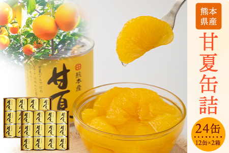 缶詰甘夏缶詰24缶入り (12缶×2箱)[60日以内に出荷予定(土日祝除く)]|缶詰缶詰缶詰