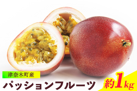 先行予約 津奈木町産 パッションフルーツ 約1kg(12〜16個) つなぎ南興FARM[7月上旬-7月中旬頃出荷]フルーツ 果物 熱帯果樹栽培 バニラアイス ヨーグルト 練乳