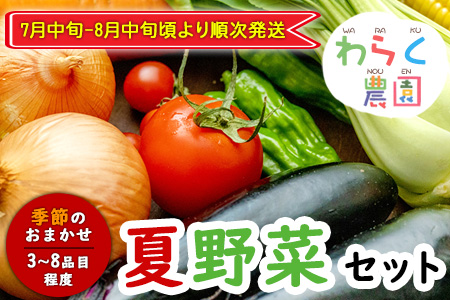 季節のおまかせ『夏』野菜セット 3〜8品目程度 わらく農園[7月中旬-8月中旬頃出荷]熊本県 葦北郡 津奈木町 野菜 野菜セット